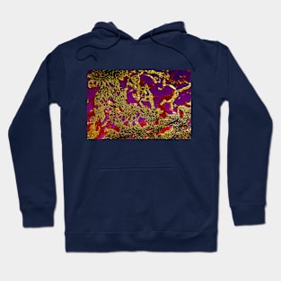 Damascene Abstract Background Hoodie